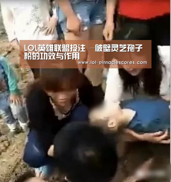 LOL英雄联盟投注 