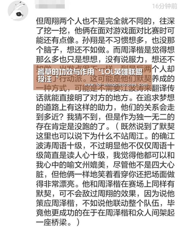 LOL英雄联盟投注 