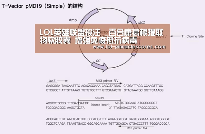LOL英雄联盟投注 