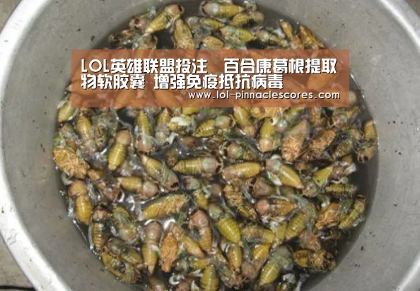 LOL英雄联盟投注 