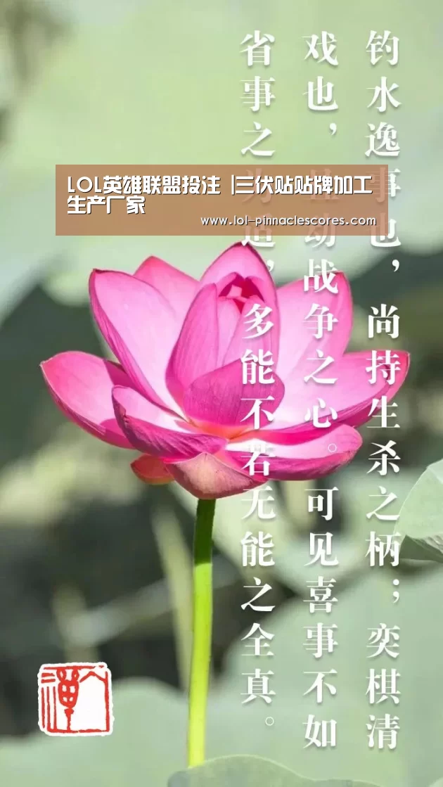 LOL英雄联盟投注 