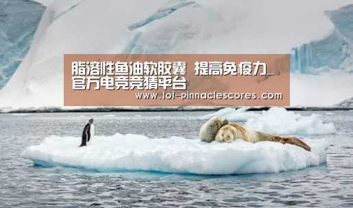 LOL英雄联盟投注 