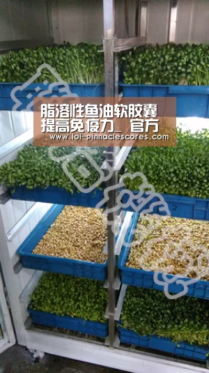  官方电竞竞猜平台