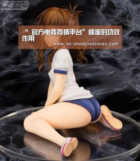  官方电竞竞猜平台