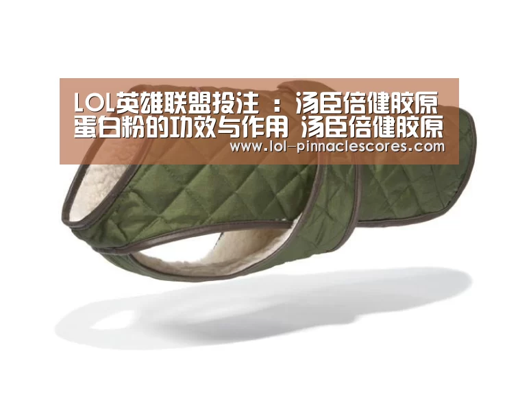 LOL英雄联盟投注 :汤臣倍健胶原蛋白粉的功效与作用 汤臣倍健胶原蛋白粉的正确食用方法(图3) LOL英雄联盟投注