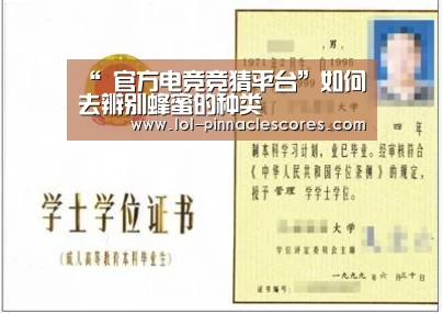  官方电竞竞猜平台